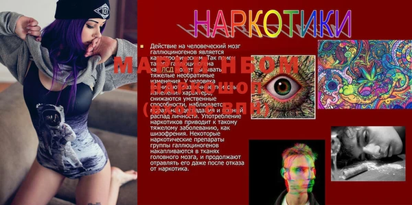ПСИЛОЦИБИНОВЫЕ ГРИБЫ Алексин